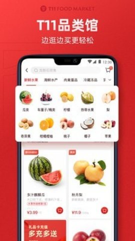 T11  v2.2.6图2