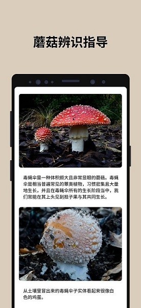 蘑菇识别扫一扫  v2.9.17图3