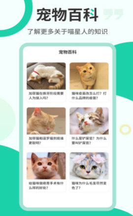 猫叫翻译机