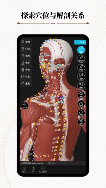 中医经络腧穴  v1.0.1图3
