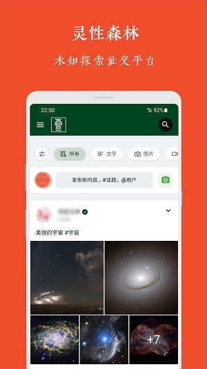 灵性森林2024  v1.0.0图1