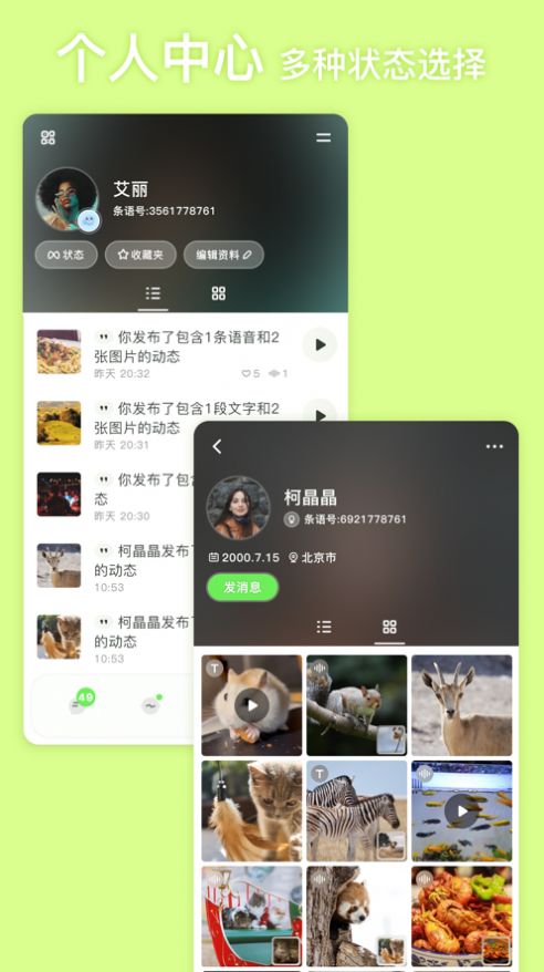 条语2024  v2.0图1