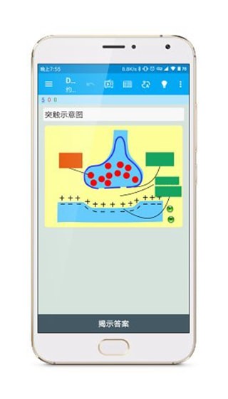 Anki涂鸦制卡  v1.2.1图1