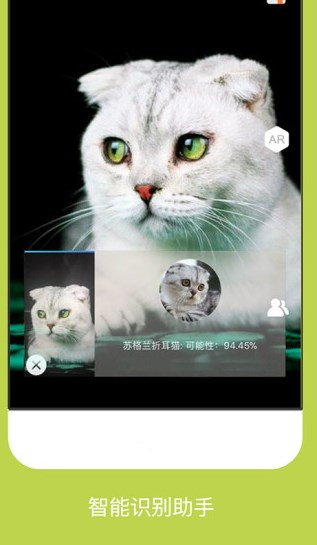 Coveer  v2.5.4.0图3