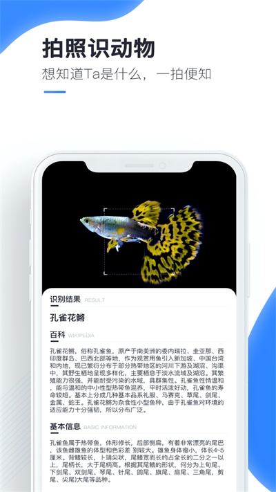 百科扫描王免费下载app  v1.0.0图1