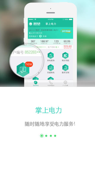 网上国网2.3.4官网  v2.0.5图2