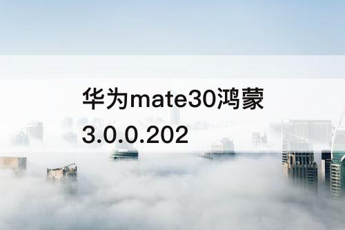 华为mate30鸿蒙3.0.0.202