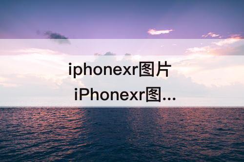 iphonexr图片 iPhonexr图片怎么关动图