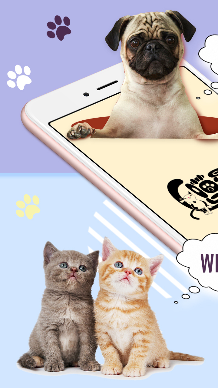 猫狗语翻译器免费版  v2.0图2