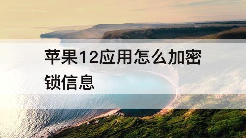 苹果12应用怎么加密锁信息