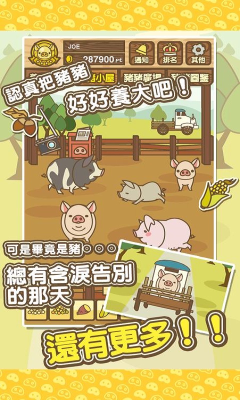 养猪场MIX游戏  v8.2图2