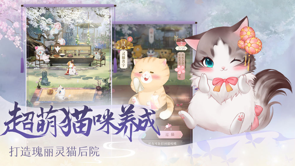 灵猫传官方正版下载  v1.1.96图2